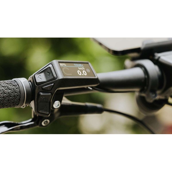 Дисплей Purion 200, 22,2 mm (BRC3800)